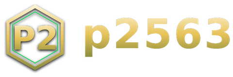 p2563 logo
